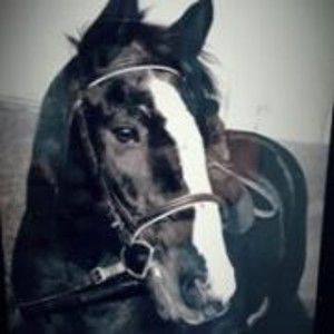 Meet your Posher, Jade